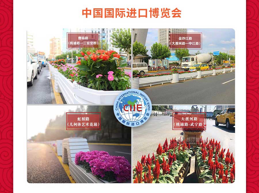 中國(guó)國(guó)際進(jìn)口博覽會(huì)道路綠化