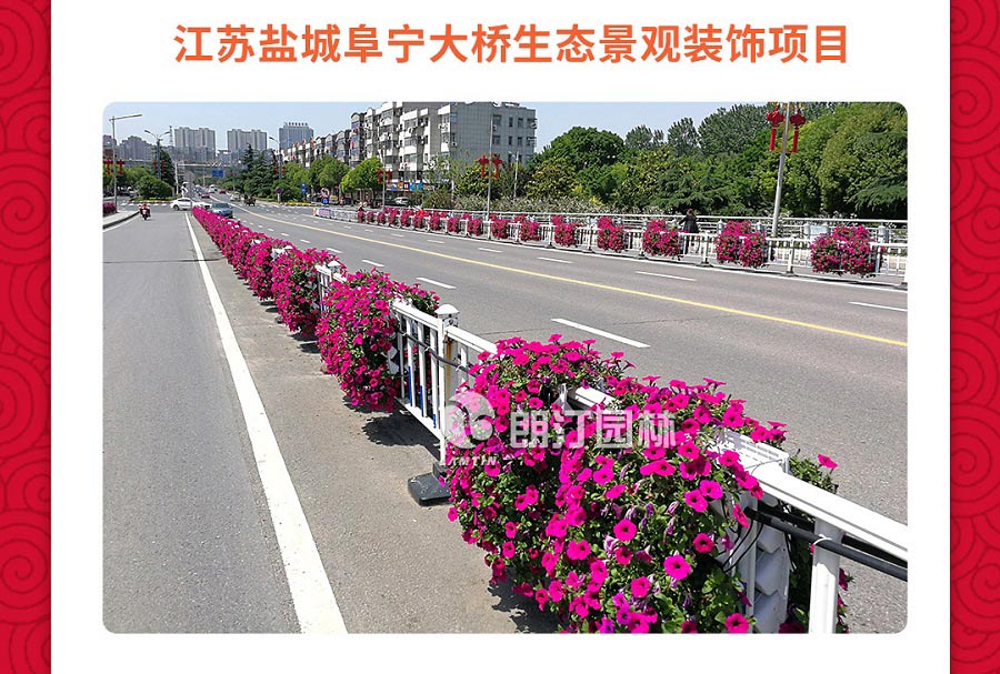 江蘇新阜寧大橋護(hù)欄綠化