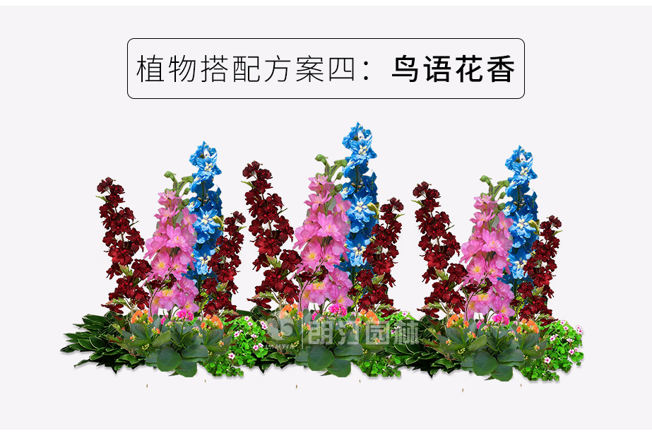 路兩邊景觀花箱植物搭配方案鳥語(yǔ)花箱