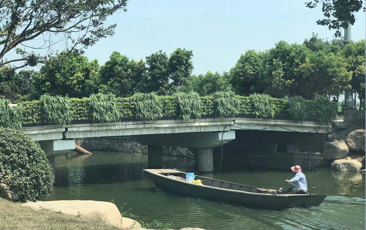 浙江橋梁防護(hù)欄立體綠化案例
