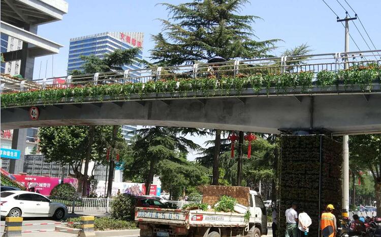 陜西渭南人行天橋護(hù)欄景觀綠化