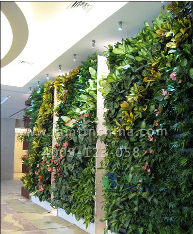室內植物墻
